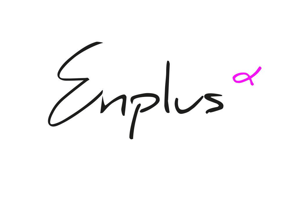 logo ontwerp ENPLUS webshop